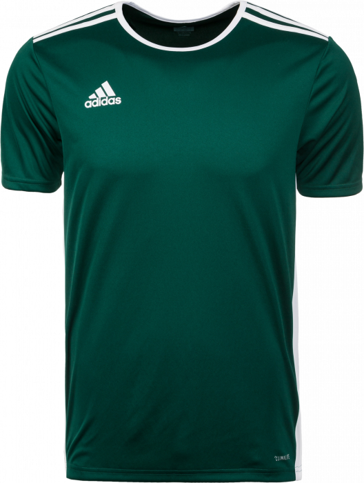 HIK Håndbold kläder och utrustning - Adidas Entrada 18 game jersey › Green  Dark \u0026 vit (CD8358) › 9 Färger › T-shirts och piké