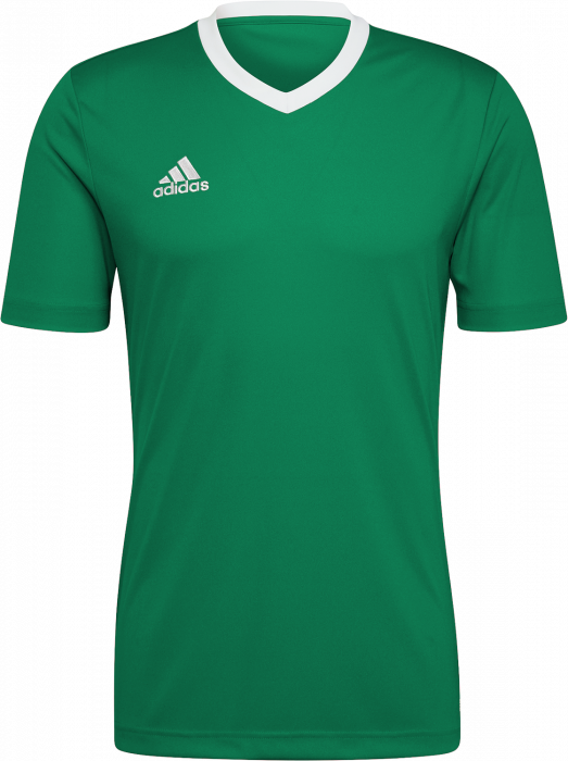 Adidas - Entrada 22 Jersey - T Green & wit